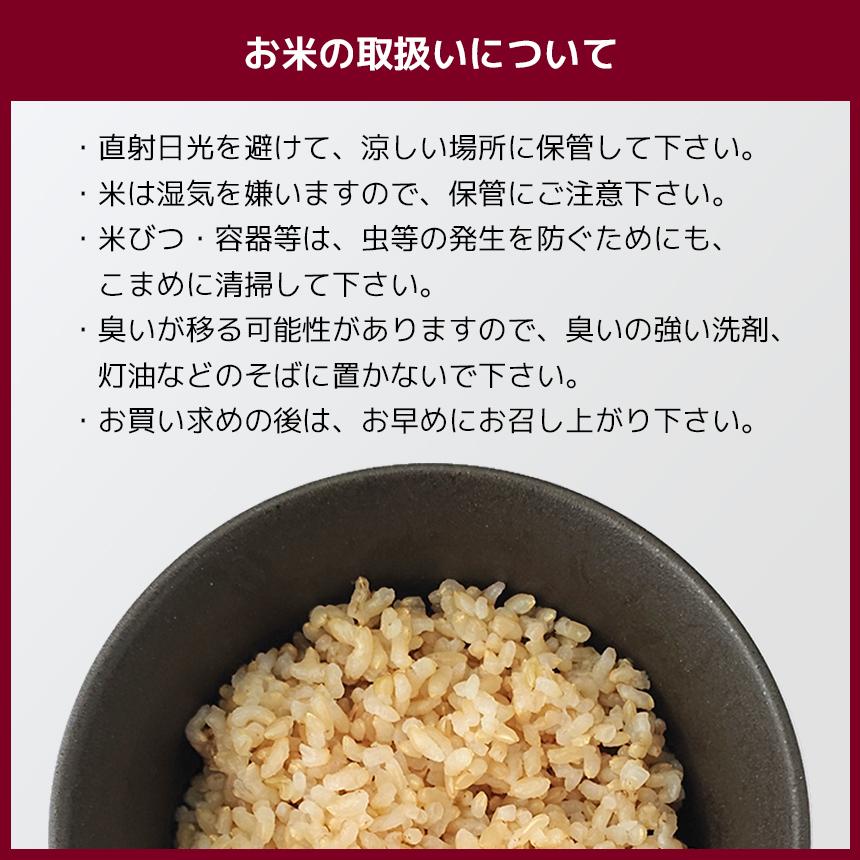 玄米　くまさんの輝き　3kg　国産　お米　熊本県産