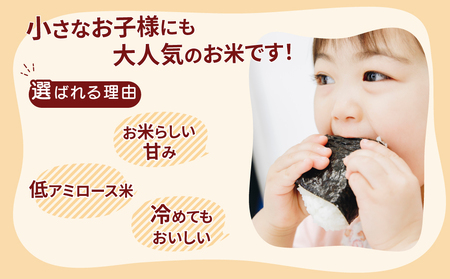 令和5年産 茨城県産 ミルキークイーン 精米4kg（2kg×2袋） ミルキークイーンは粘りが強くかつ柔らかいお米です。お弁当にぴったりと言われています。 ※離島への配送不可 ※2023年9月上旬頃より順次発送予定