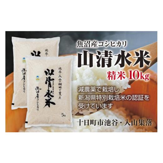 ふるさと納税 新潟県 十日町市 新潟県魚沼産コシヒカリ「山清水米」精米10kg(5kg×2袋)