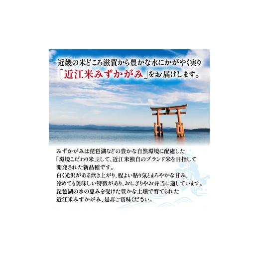 ふるさと納税 滋賀県 竜王町 令和5年産 みずかがみ 10kg 全3回 近江米 新米 米粉 200g付