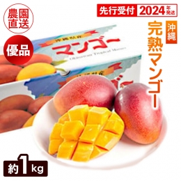 ヤマト農園　完熟マンゴー約1kg（優品）