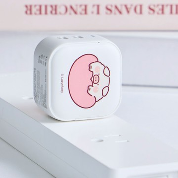 【TOYSELECT】胖才可愛肉呆討抱抱GaN 45W Type-C雙孔充電頭