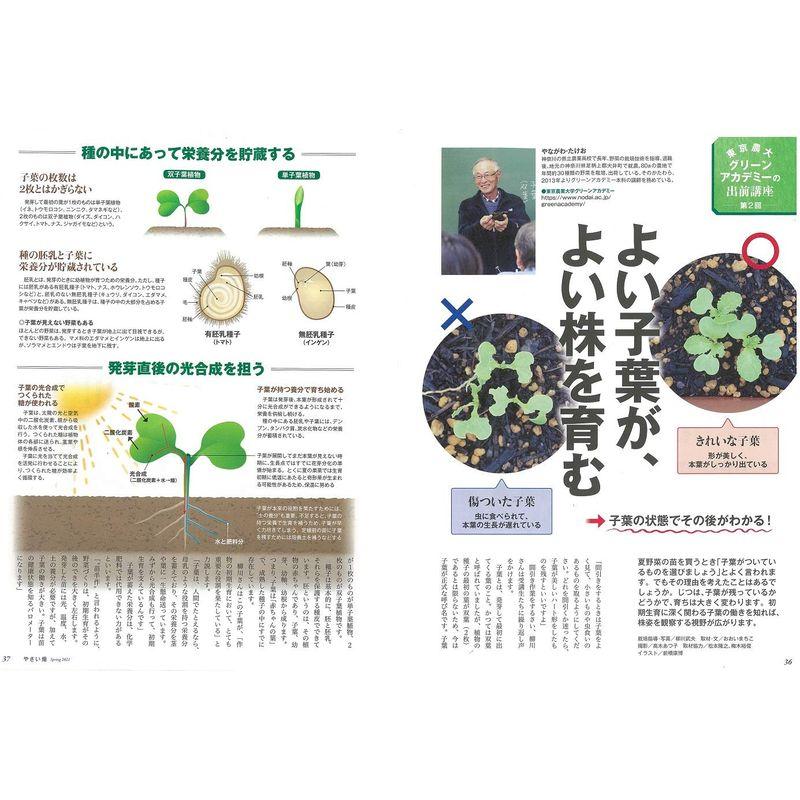 やさい畑 春号 2021年 4月号