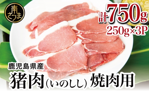 鹿児島県南さつま産 猪（いのしし）肉　焼肉用 750g（250g×3P） 冷凍 グルメ ジビエ肉 ジビエ イノシシ 焼肉 焼肉セット