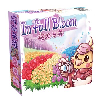 新天鵝堡 繽紛花海Set，圖像記憶，目標選擇，適合六歲以上