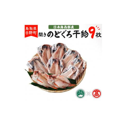 ふるさと納税 鳥取県 日野町 日本海西部産　開きのどぐろ干物９枚 〈大海〉 50-N5