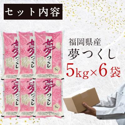 ふるさと納税 大刀洗町 福岡の人気銘柄!!福岡県産夢つくし5kg×6袋(合計30kg)(大刀洗町)