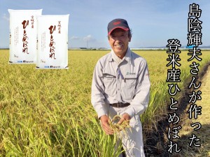 ◆令和4年産◆ 農家限定還元セール  宮城県 登米産 ひとめぼれ 精米 (白米)  10kg (5kg×2) 送料無料 デザインポリ袋仕様 米 白米 10kg