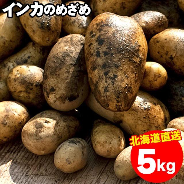 出荷開始中 新じゃがいも 送料無料 北海道産 インカのめざめ（Sサイズ以上）1箱5キロ入り   5kg ５ｋｇ お取り寄せ インカの目覚め いんかのめざめ