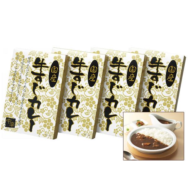 国産牛すじカレー中辛 4食 国産牛すじカレー中辛180g×4 レトルト KGS-20 内祝い お祝い 返礼品 贈答 進物 ギフトプレゼント 税率8％