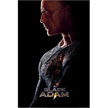 DC 黑亞當(側身)進口海報/Black Adam/The Rock