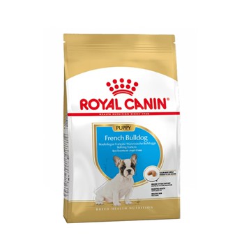 皇家法國鬥牛幼犬FBDP 3KG(下單後10個工作天寄出)