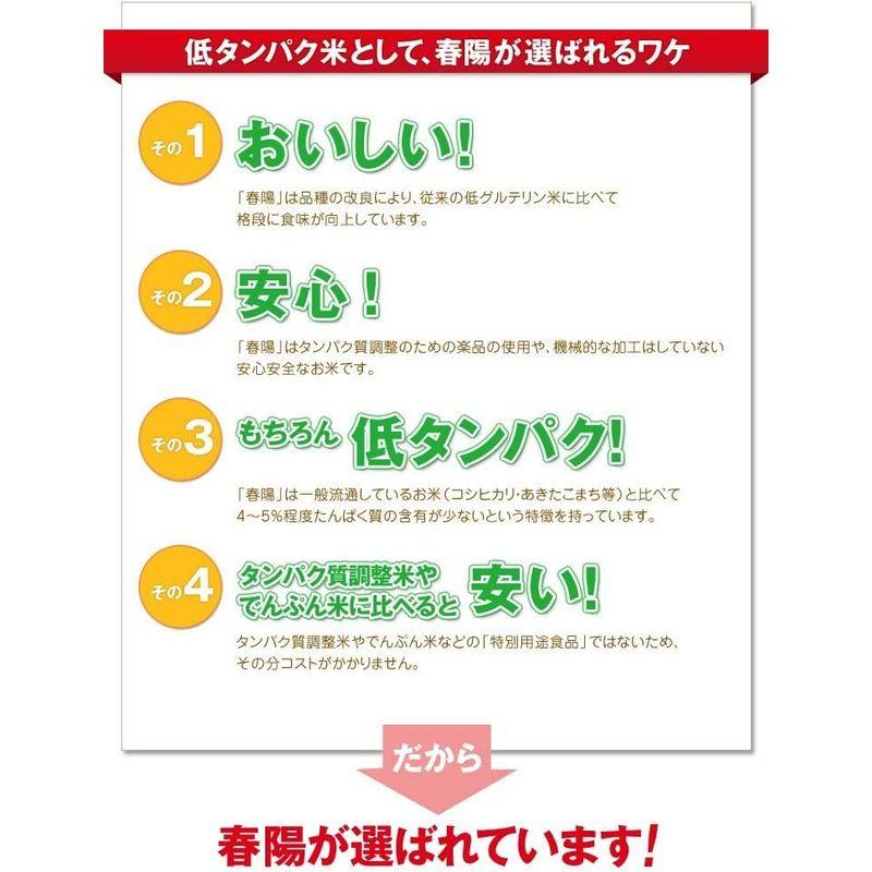 白米富山県産「低たんぱく米」「低グルテリン米」春陽（令和5年産）5kg