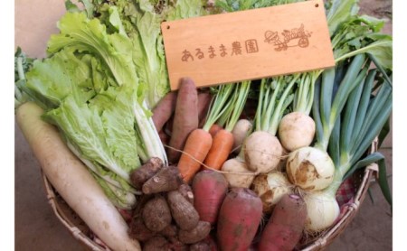 農薬不使用季節の野菜セット（10品）