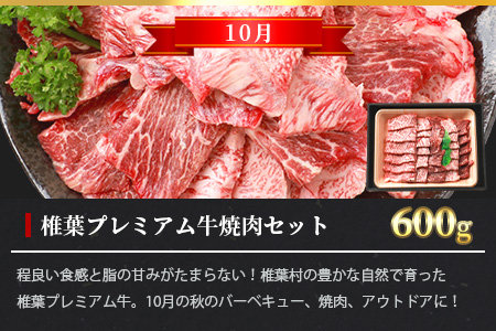 総重量1.8kg！椎葉プレミアム牛 大自然の中で味わうBBQ定期便≪焼き肉・ステーキ≫