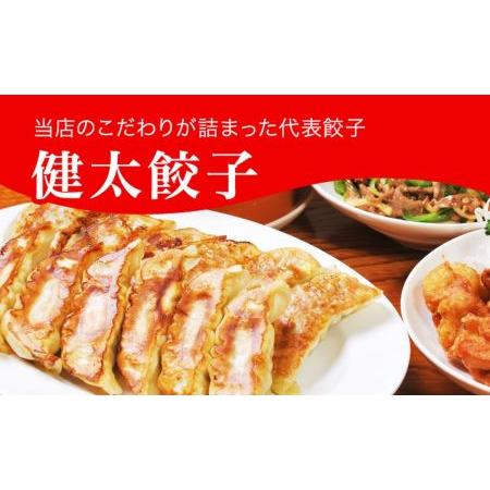 ふるさと納税 「宇都宮餃子館」健太餃子 960ｇ（４８個）≪冷凍餃子 冷凍食品 ギョーザ グルメ 食品 惣菜 中華惣菜 点心 中華≫◇ 栃木県さくら市