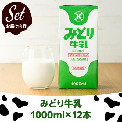 ふるさと納税 佐伯市 常温保存可能　みどり牛乳(1000ml×12本)