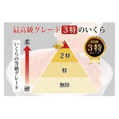 ふるさと納税 気仙沼市 最高級3特 国産 味付 いくら 宝壽 醤油漬 120g×1パック [20562970]