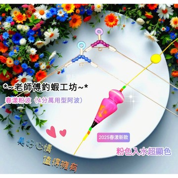 釣蝦天平釣組🎉老師傅釣蝦工坊🎉超優惠高質感快別阿波母線組  釣蝦 天平釣蝦天平釣組
