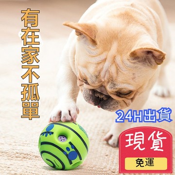 【台灣現貨 24H出貨】寵物耐咬玩具球狗狗玩具狗磨牙玩具球小狗發聲玩具大狗發聲球狗狗訓練玩具小中大型犬玩具球寵物互動解悶