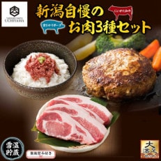 無地熨斗 コンビーフ 70g  ハンバーグ 150g 2個  豚肩ロース 130g 2枚 南魚沼