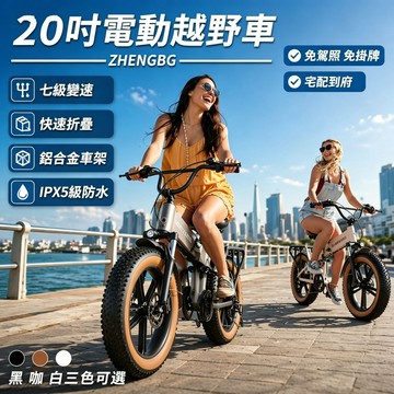 【⭐台灣保固⭐】電動山地車 電動自行車 折疊電動自行車 電動腳踏車 20 吋胖胎 越野電輔車 鋁合金車架 通勤郊遊兩用