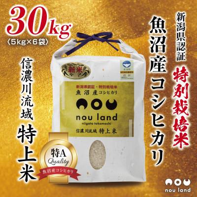 ふるさと納税 十日町市 農家直送 魚沼産 コシヒカリ 特別栽培米 5kg ×6袋 計30kg 新潟県 十日町市 のうランド