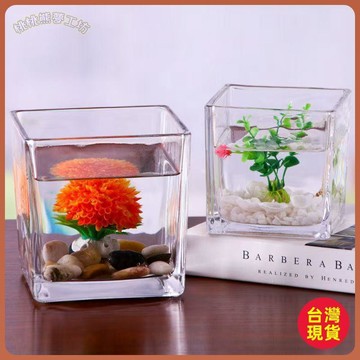 ✈️桃園出貨 全臺免運 ✈️ 小清新網紅正方形水培器植物花盆玻璃花瓶 透明方缸綠蘿睡蓮魚缸