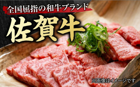 艶さし！ 佐賀牛 焼肉用 切り落とし 1kg（500g×2P）肩ロースorバラ 吉野ヶ里町[FDB049]