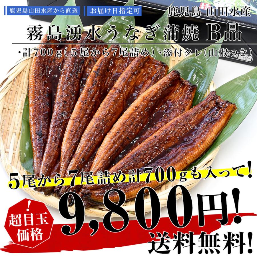 鹿児島県志布志産 山田水産 ご家庭向け 霧島湧水うなぎ B品 計700g（5尾から7尾詰め）送料無料 鰻師 加藤尚武さん シーフード