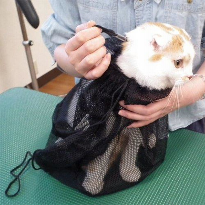 キャティーマン Cattyman 猫くるりんバッグ 通院ネット付 くろにゃんこ 通販 Lineポイント最大0 5 Get Lineショッピング