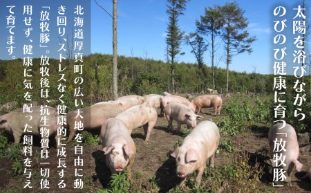 厚真希望農場で育った放牧豚の無添加ソーセージ11種類ボリュームセット