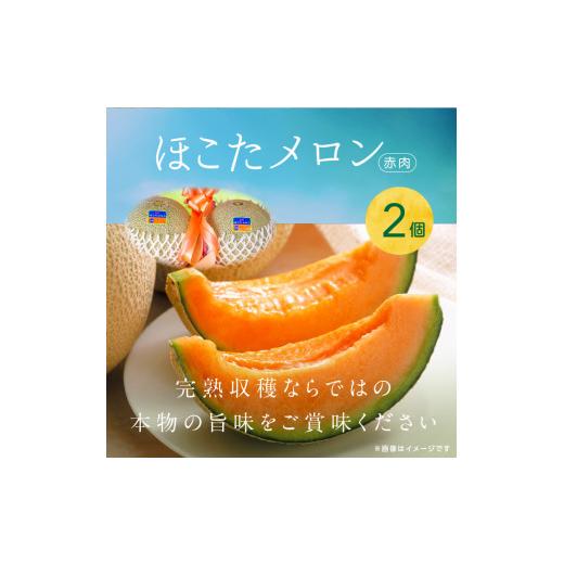 ふるさと納税 茨城県 鉾田市 完熟収穫ならではの旨味「ほこたメロン／赤肉」1箱（2個入）