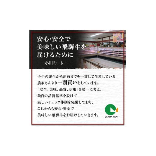 ふるさと納税 岐阜県 池田町 牛肉 飛騨牛 焼き肉 セット 赤身 モモ 又は カタ 600g 黒毛和牛 A5 美味しい お肉 牛 肉 和牛 焼肉 BBQ バーベキュー 【 岐阜県池…