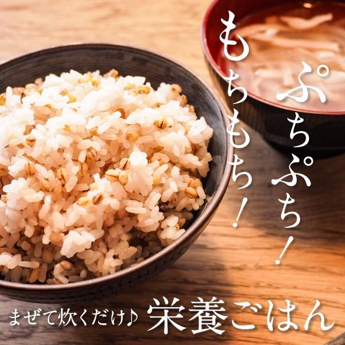 もち麦 もちむぎ 900g 無農薬 無肥料 自然栽培 ダイシモチ 宮崎県産 食物繊維