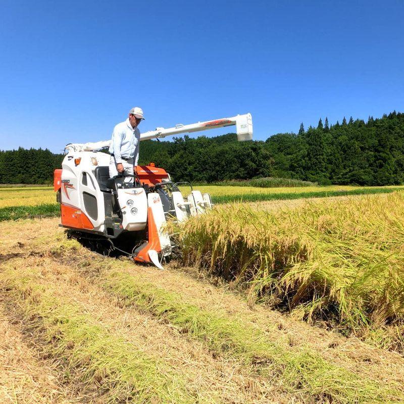 新潟県産 無洗米 コシヒカリ 25kg(5kg×5袋)お米 新潟 こしひかり