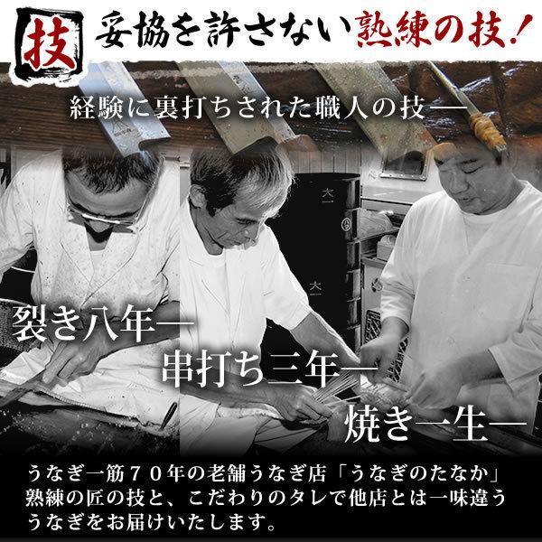 お歳暮 ギフト 2023 うなぎ 国産 プレゼント 土用の丑の日 蒲焼き 誕生日 お祝い 送料無料 グルメ 食べ物 鰻 お年賀 御歳暮 御年賀 化粧箱 PON-2 1〜2人用 AA