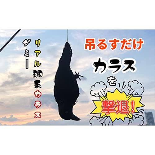 ONESORA カラスよけ 鳥よけグッズ 本物そっくり リアル羽毛カラス ぶら下げて吊るすだけ カラス撃退