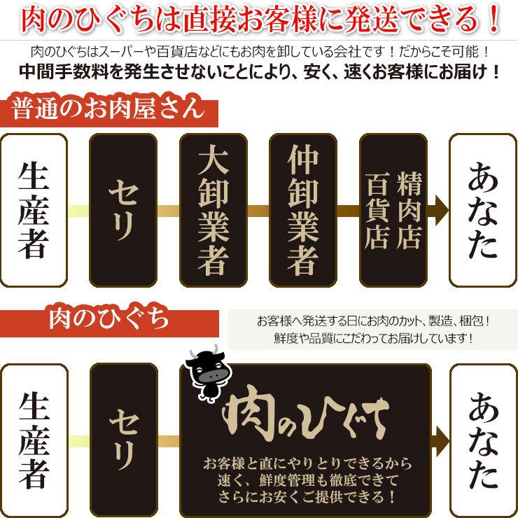 肉 牛肉 焼肉セット 飛騨牛 カルビ 味付 500g(250g×2パック) 味付  バーベキュー バーベキューセット 黒毛和牛 焼肉 お取り寄せグルメ