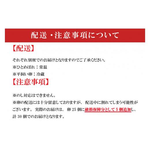 ふるさと納税 岩手県 紫波町 YA001「ひとめぼれ」と「平飼い卵」のたまごかけご飯セット