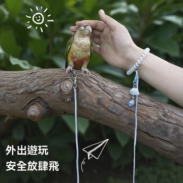 鸚鵡放飛繩 鸚鵡外出繩 鸚鵡牽引繩外出放飛超輕玄鳳小太陽牡丹放飛繩腳環不傷