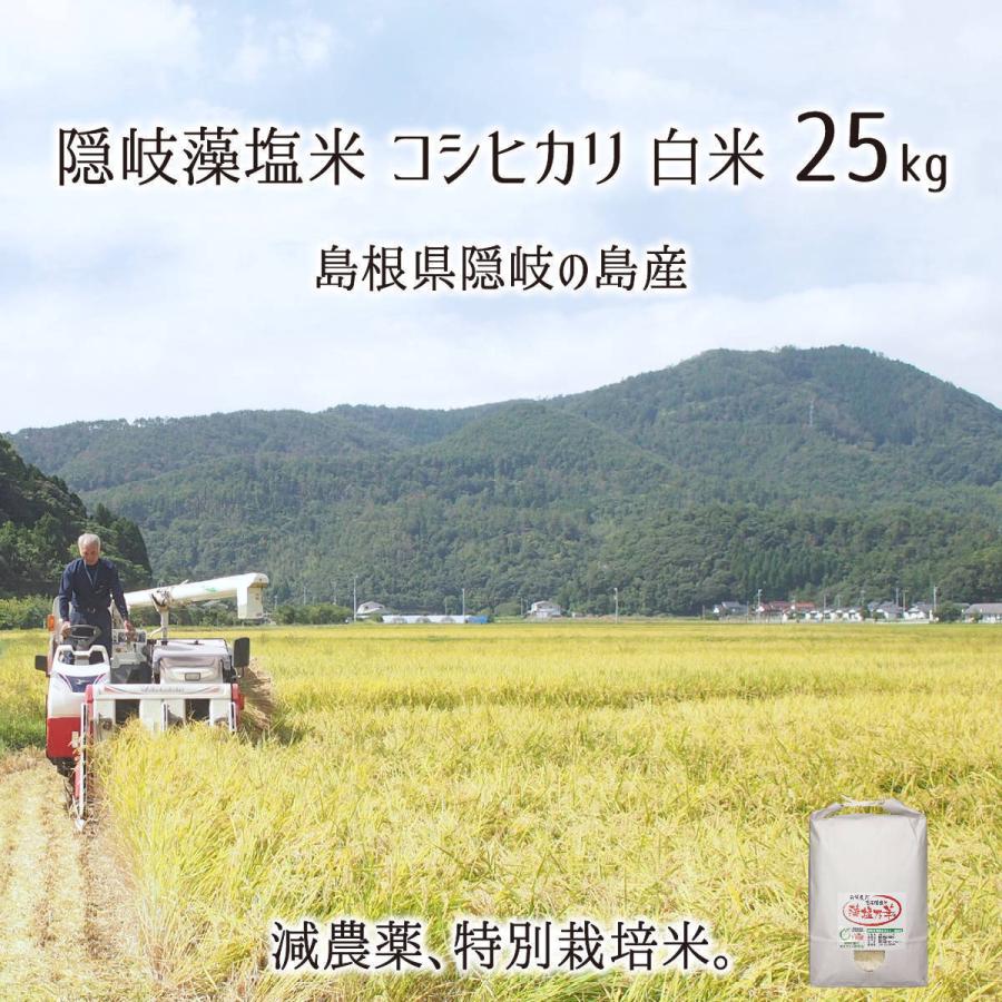 隠岐藻塩米 特別栽培 コシヒカリ 白米 25kg 島根県隠岐の島町 2023年産 減農薬 減化学肥料 単一生産者米 エコファーマー 藻塩乃華 送料無料