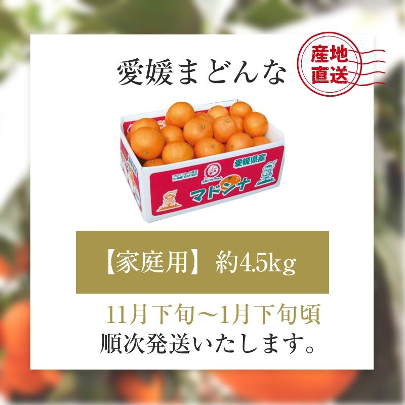 みかん 愛媛まどんな まどんな 家庭用 約4.5kg 愛媛産 送料無料 産地直送 柑橘 フルーツ 果物 お歳暮 2023 お歳暮2023 ギフト グルメ