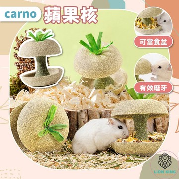 【獅子王寵物】🦁Carno卡諾蘋果核 牛頓蘋果核 倉鼠磨牙用品 倉鼠磨牙 小寵磨牙玩具 天然磨牙玩具 B074