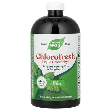 Nature's Way, Chlorofresh，液體葉綠素，薄荷味，16 液量盎司（480 毫升）