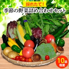 季節の野菜詰め合わせセット