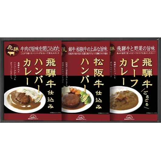 飛騨高山ファクトリー 松阪牛・飛騨牛仕込みハンバーグ＆カレー詰合せ HBK-22