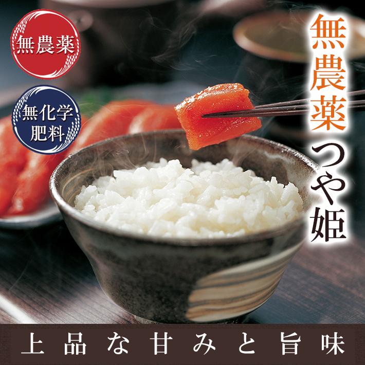 無農薬 玄米 米 2kg 無農薬 つや姫 令和5年宮城県産 新米入荷 送料無料 無農薬・無化学肥料栽培