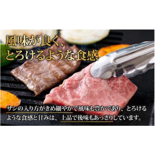 ふるさと納税 福井県 大野市 若狭牛焼肉食べ比べセット  1kg(上カルビ500g×1パック・モモ500g×1パック)