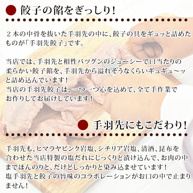  手羽餃子 お試し 10本セット（5本入×2袋）手羽先餃子 肉餃子 バーベキュー BBQ 焼き鳥 焼鳥 焼肉 父の日 プレゼント 惣菜 冷凍